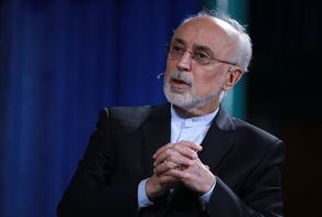 پاسخ علی‌اکبر صالحی به روایت روبیو از حمله هخامنشیان به یونان
