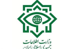 الامن الایرانی یعتقل 11 شخصا من المخربین فی محافظة ایلام

