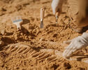 Egyptian scientists identify new 45-million-year-old crocodile genus