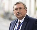 Iran’s nuclear program is an inalienable right: Russian envoy