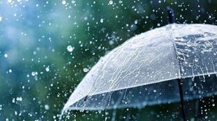 هشدار جهاد کشاورزی به زعفران‌کاران؛ آبیاری مزارع را به تأخیر نیندازید