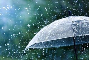 هشدار جهاد کشاورزی به زعفران‌کاران؛ آبیاری مزارع را به تأخیر نیندازید