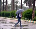 باران پاییزی در عنبرآباد؛ لبخند امید بر لب کشاورزان جنوب کرمان نشست