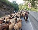 جاده کندوان امروز بسته شد؛ زمان بازگشایی اعلام می شود