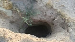 دستگیری باند سه‌نفره حفاری آثار باستانی در اندیمشک